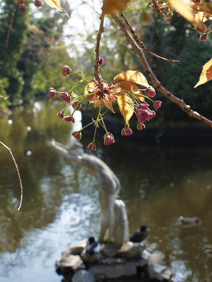 New Playgound. The first test team.