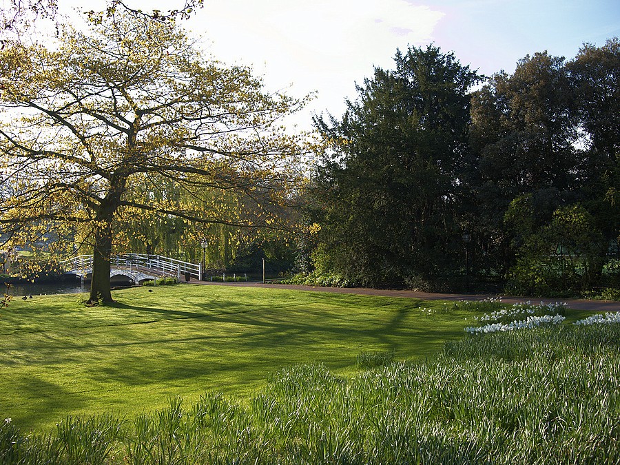 New Playgound. The first test team.