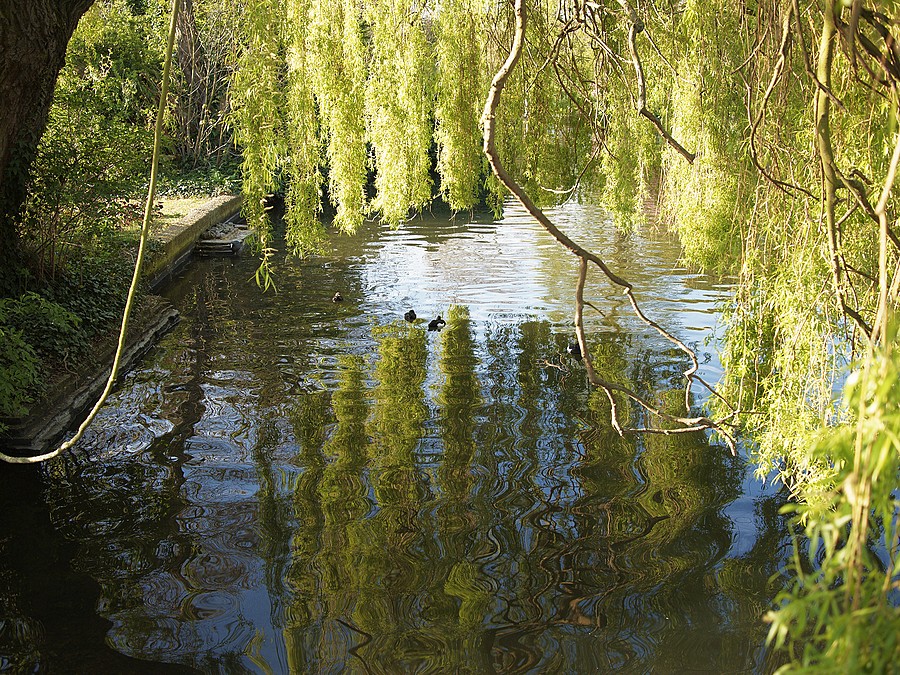 New Playgound. The first test team.