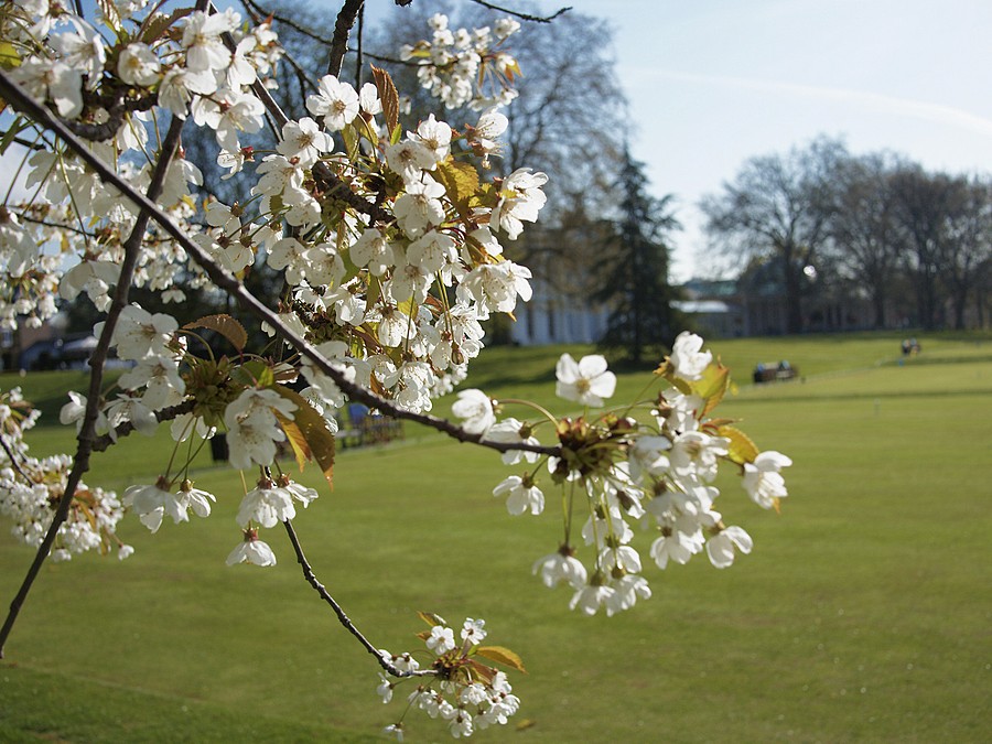 New Playgound. The first test team.