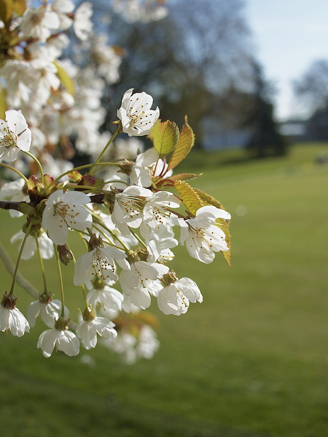 New Playgound. The first test team.