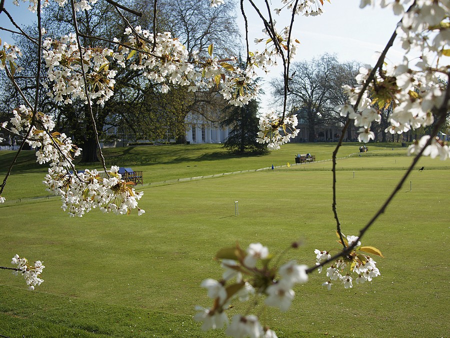 New Playgound. The first test team.