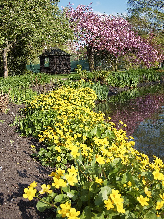New Playgound. The first test team.