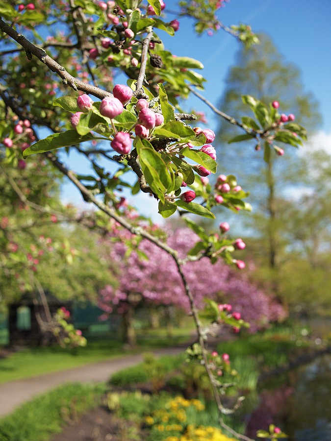 New Playgound. The first test team.