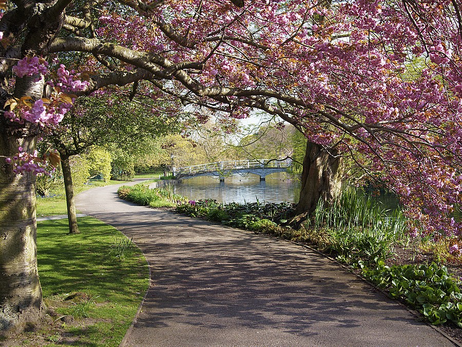 New Playgound. The first test team.