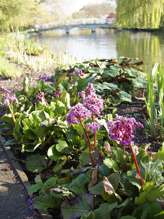 New Playgound. The first test team.