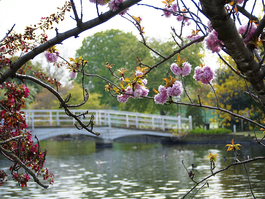 New Playgound. The first test team.