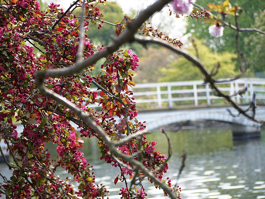 New Playgound. The first test team.