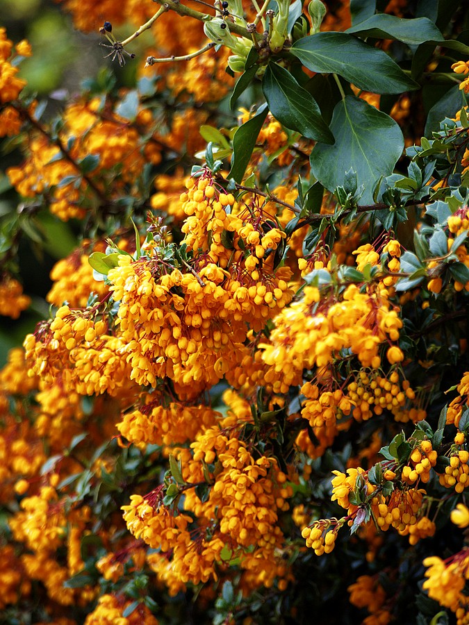 New Playgound. The first test team.